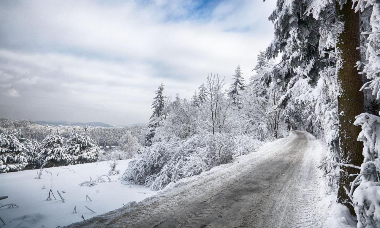 Sloneczny Chelm - Apartamenty W Gorach, Prywatna Sauna Jacuzzi Balia W Cenie, Spa, Grill, Stok Narciarski Myslenice, Sciezki Rowerowe, Rzeka Raba, Widok Na Tatry מראה חיצוני תמונה